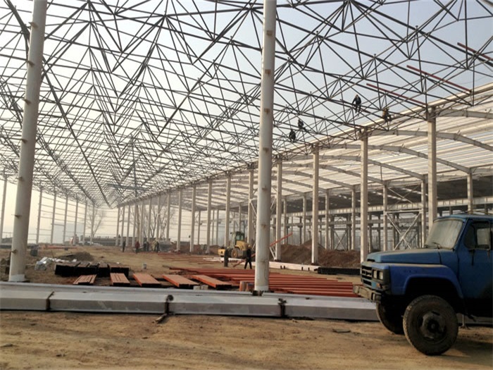 红桥网架架构工程